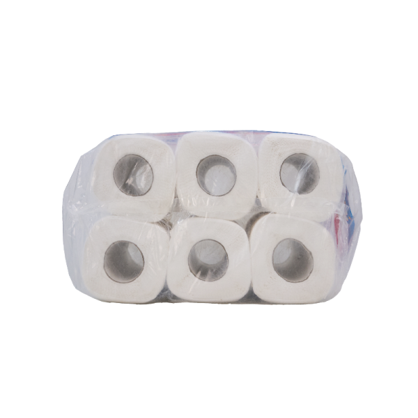 Disposable 2 Ply 6 Rolls Kitchen Tissue Paper - Image 2